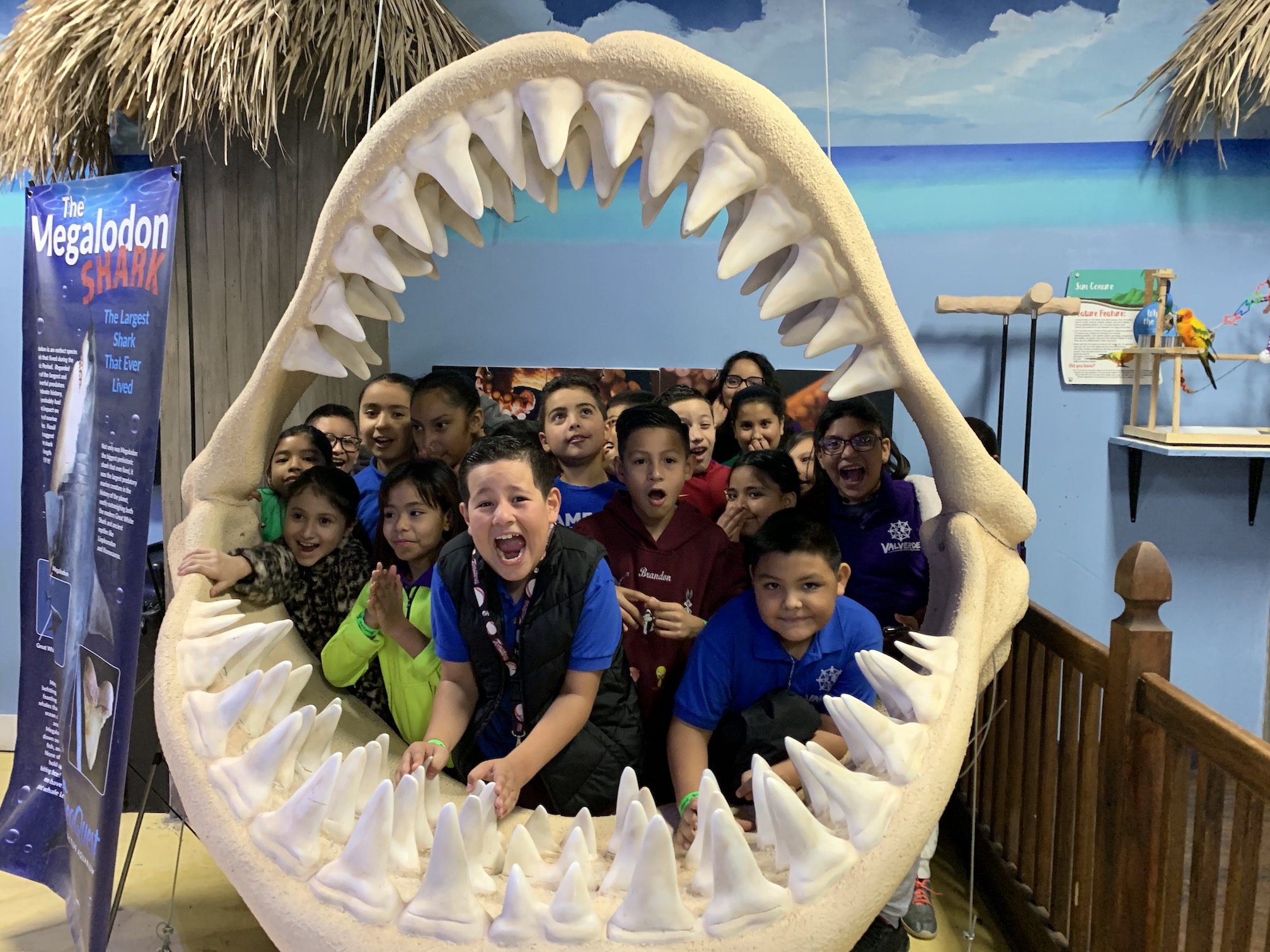 Students pose in the jaws of a shark